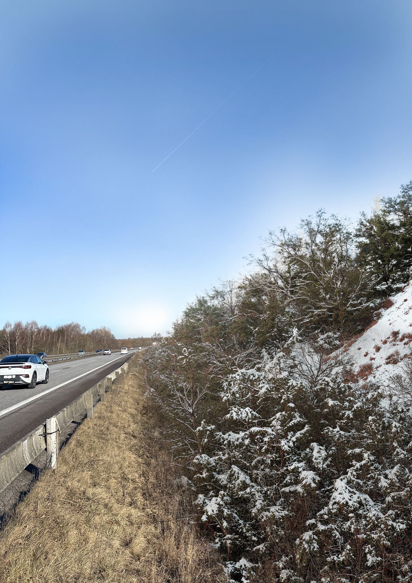 landscape render of the Sorø Støjvold noise barrier planting through the seasons